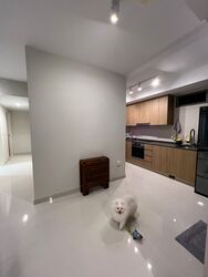 Shiro (D15), Apartment #518807521